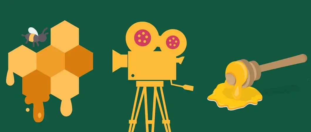 gruenes_kino_more_than_honey.webp